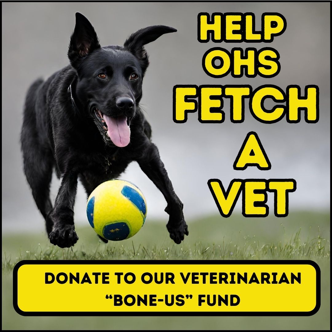 Help Oconee Humane Society "Fetch a Vet"