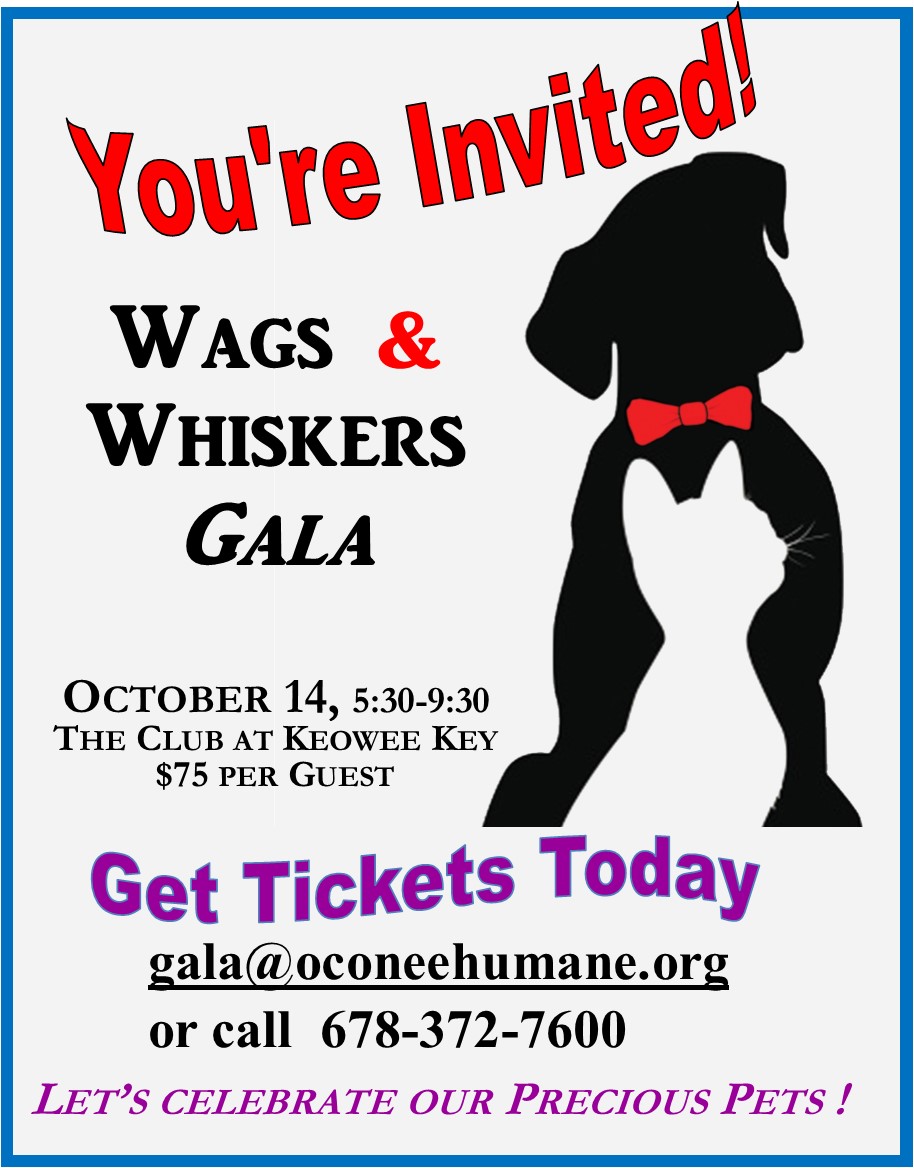 Wags & Whiskers Gala - flyer