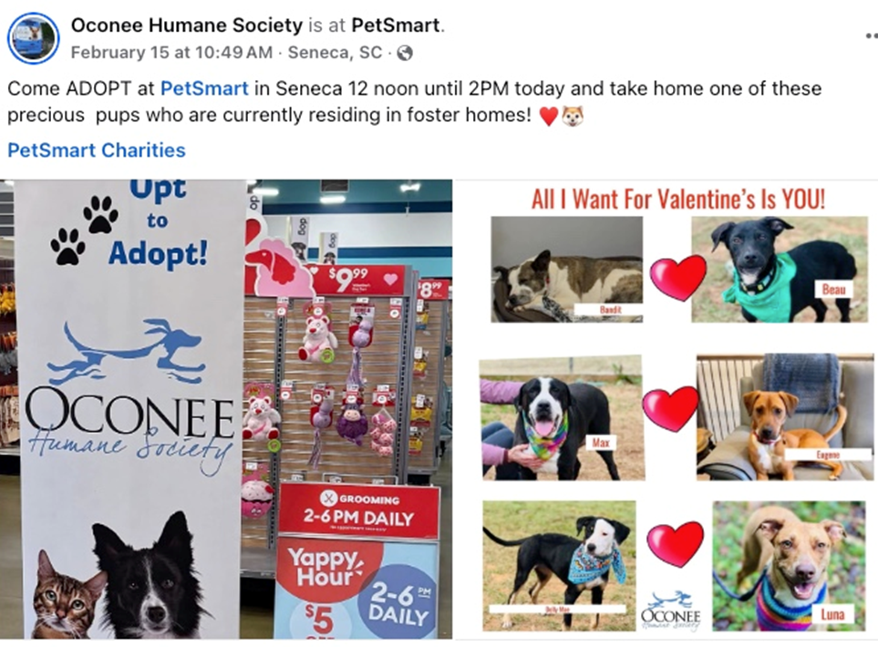 PetSmartAdoptionWeek-pics PetSmart Adoption Week
