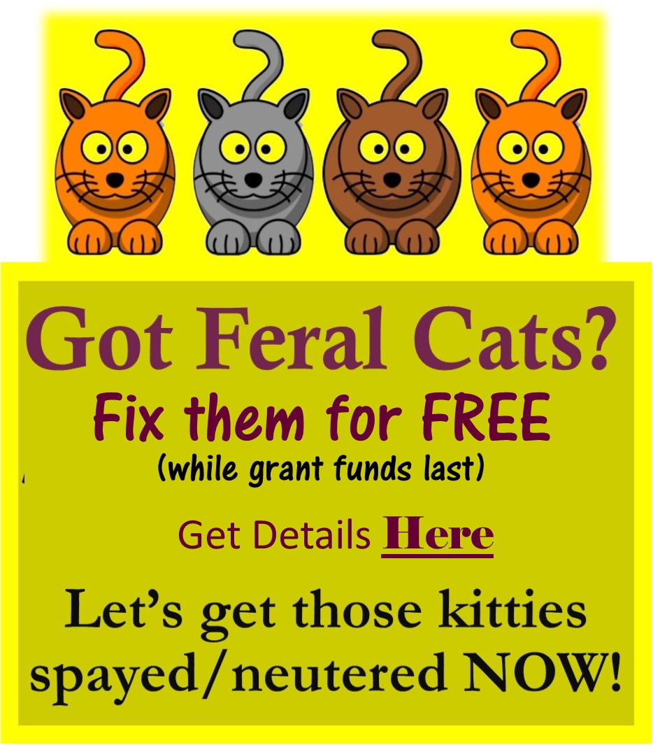 Got Feral Cats? Fix them for FREE! Trap-Neuter-Return