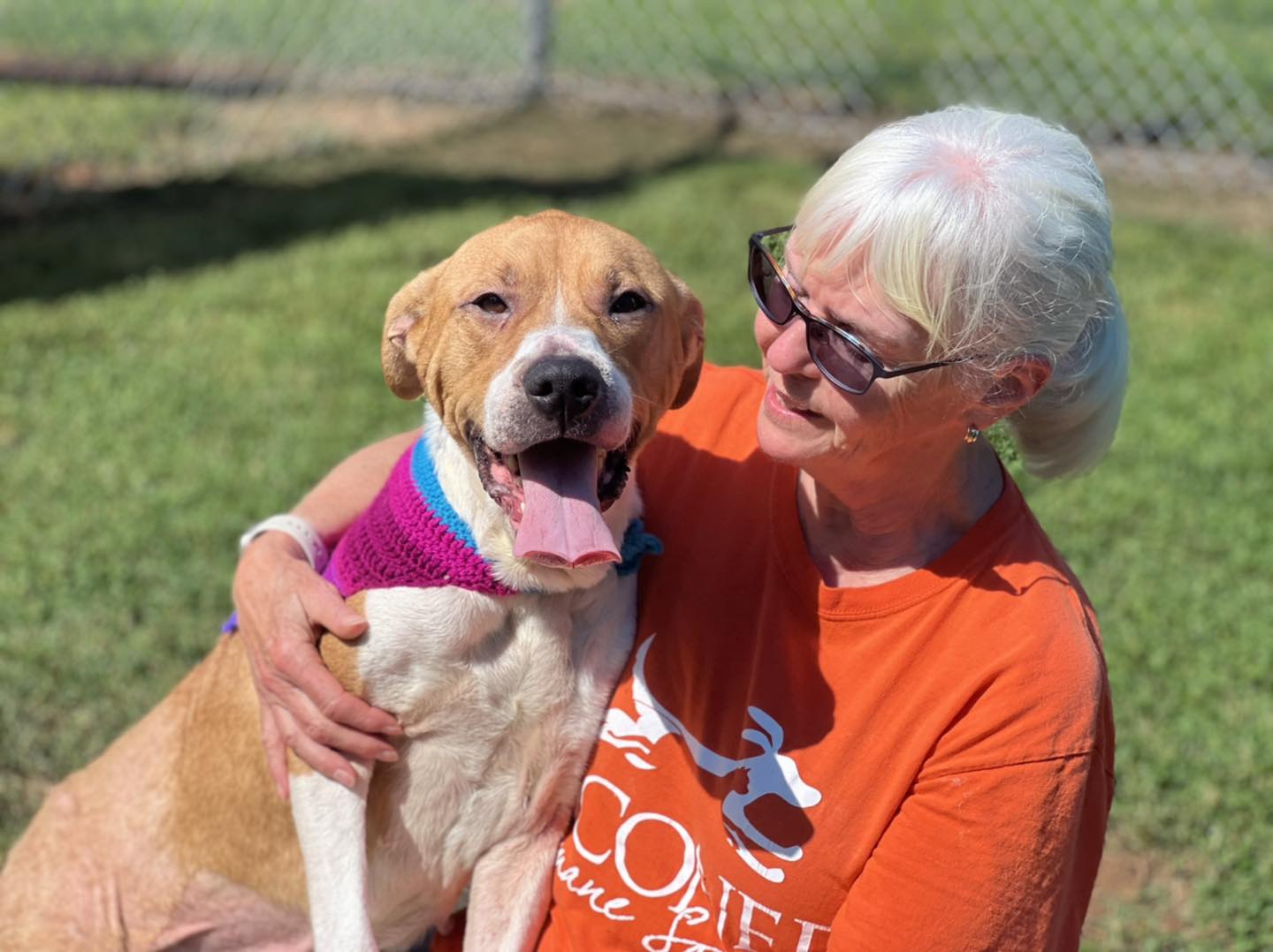 Volunteer at Oconee Humane Society