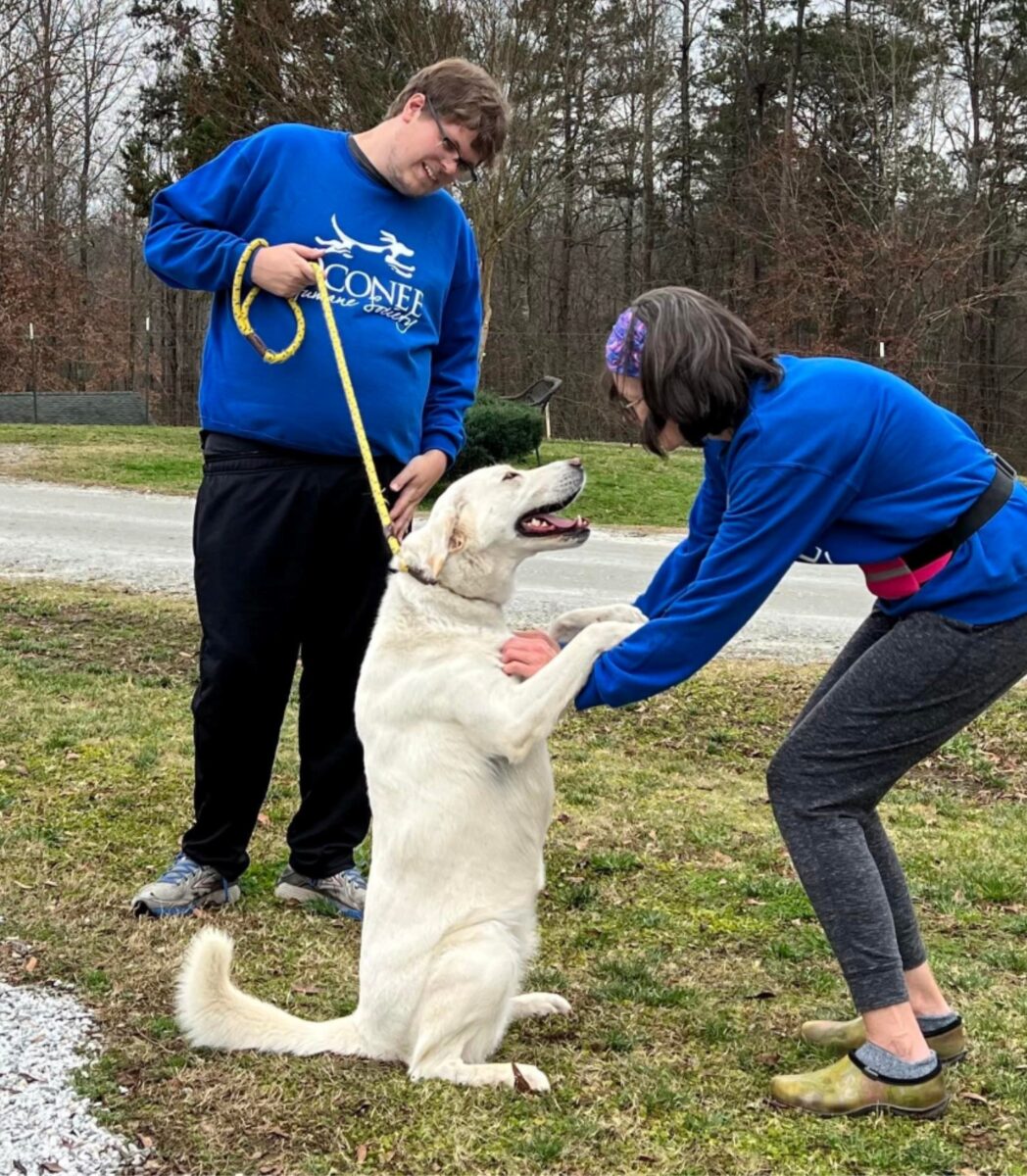 Volunteer at Oconee Humane Society