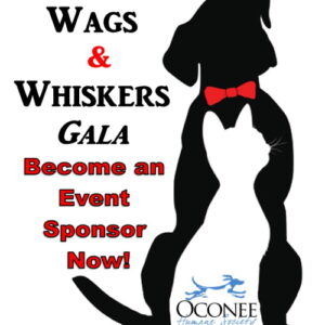 Become a Wags and Whiskers Gala Sponsor