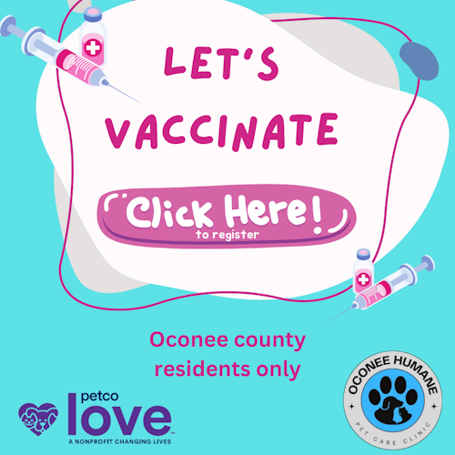 Vaccination Clinic at OHS